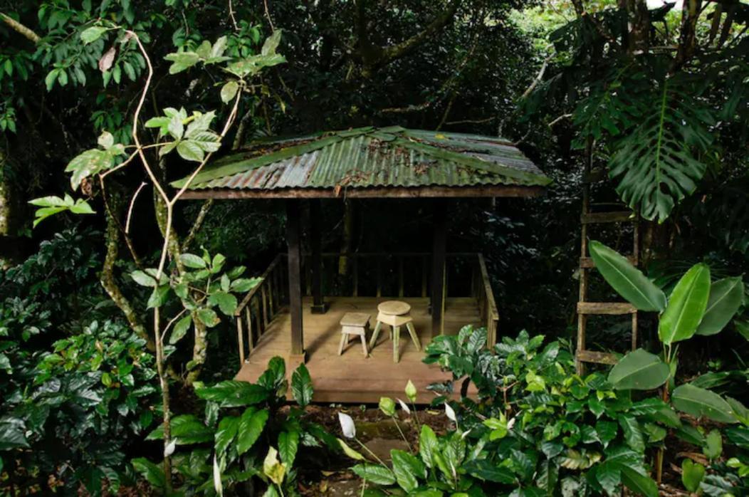 Apartamento Coffee Garden Ranch Costa Rica Concepcion  Exterior foto